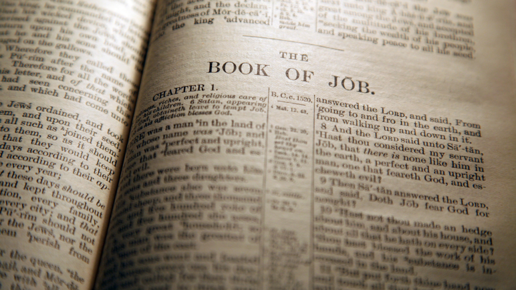Lessons from Job in the Bible