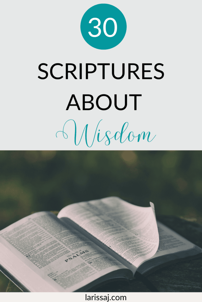 30 bible verses about wisdom